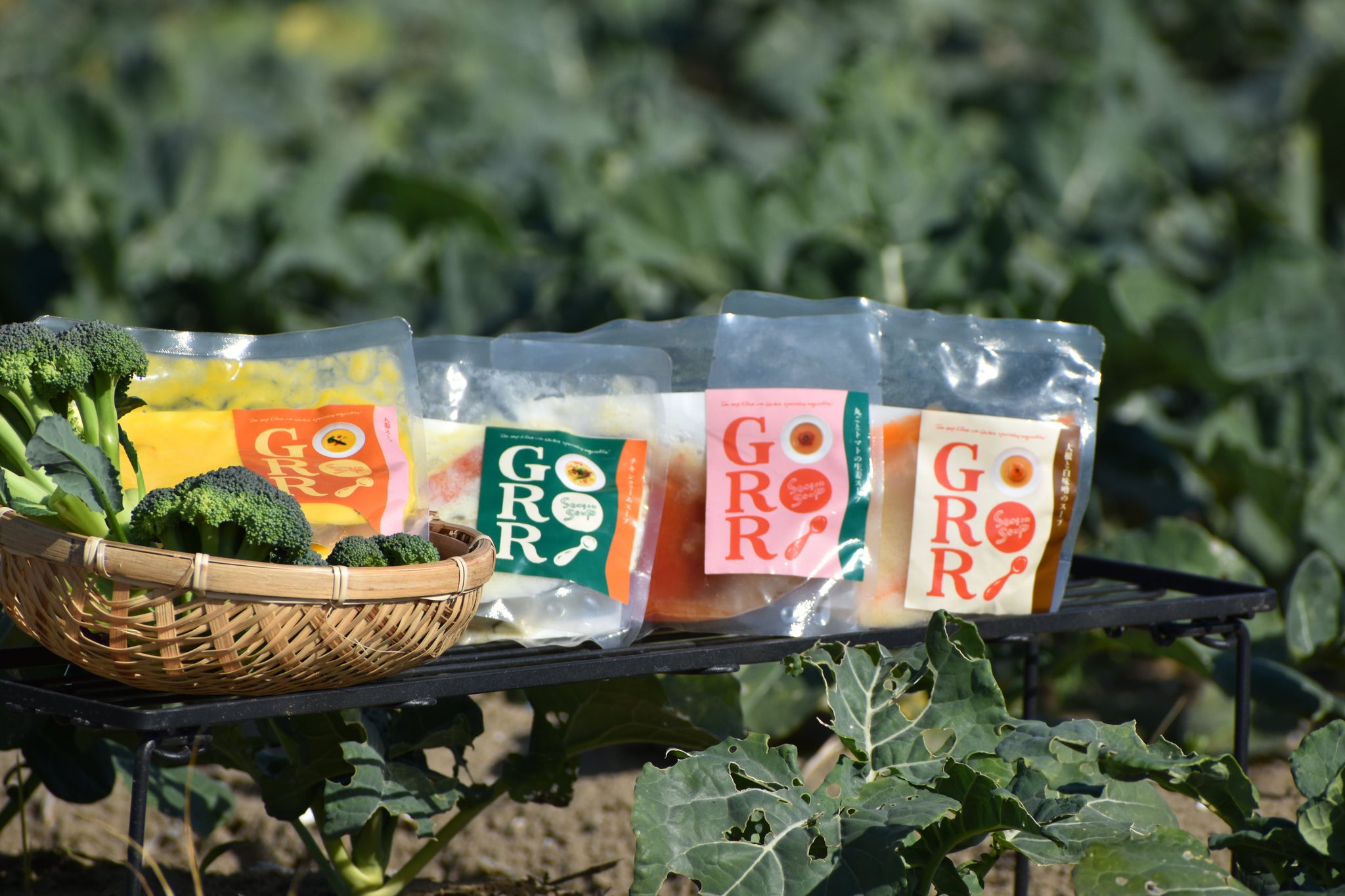 人参スープ｜season soup GORORI（シーズンスープゴロリ