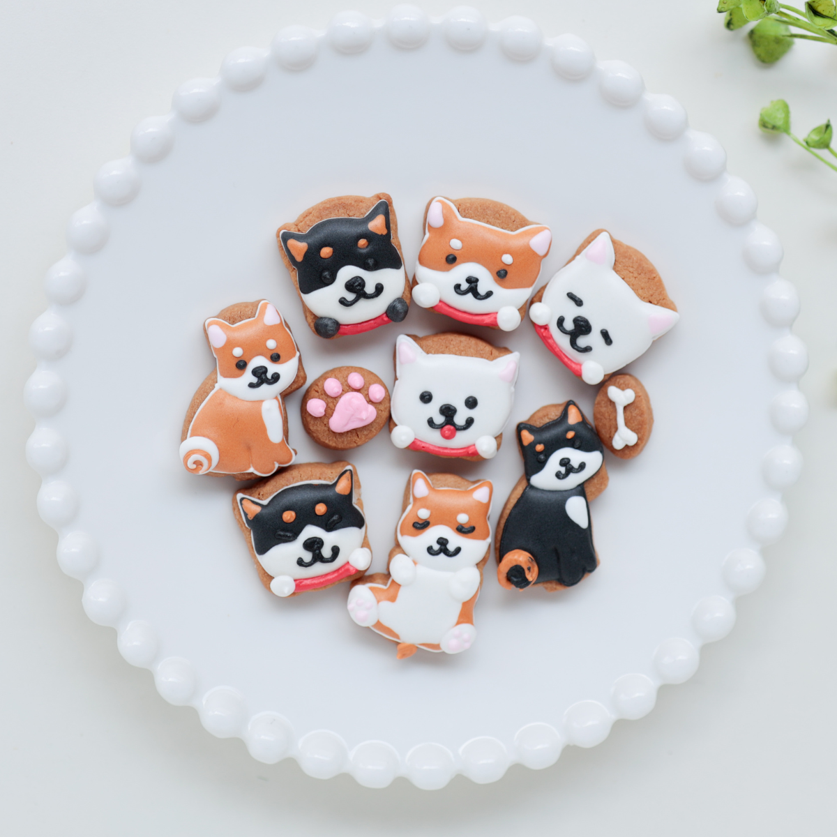 柴犬缶｜ケーキ工房 アンドンカフェ（ケーキコウボウ アンドンカフェ