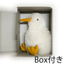 画像をギャラリービューアに読み込む, 【キウイ】アルパカぬいぐるみ（BOX付)｜Alpaca Bear&#39;s（アルパカベアーズ）
