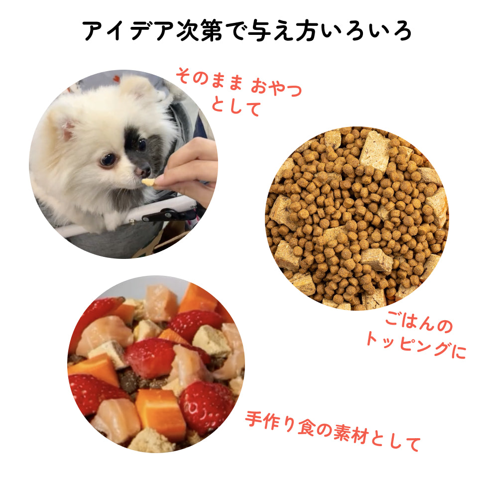 犬用フリーズドライおやつ サーモン（サーモン100％）｜Kelly&Co's