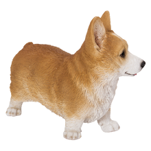 画像をギャラリービューアに読み込む, 左向きに立つウェルシュコーギー｜WooBia（ウービア）

