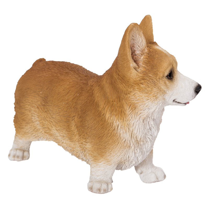 左向きに立つウェルシュコーギー｜WooBia（ウービア） – CHOOSEBASE