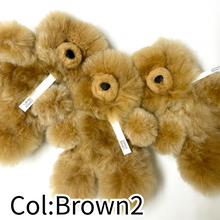 画像をギャラリービューアに読み込む, 【Standard】 アルパカベア  テディベア ぬいぐるみ（BOX付）｜Alpaca Bear&#39;s（アルパカベアーズ）
