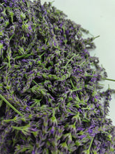 画像をギャラリービューアに読み込む, ラベンダー｜箱根山麓ハーブTreize13（ハコネサンロクハーブトレーズ）
