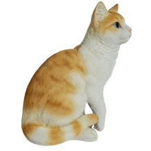 画像をギャラリービューアに読み込む, 右向きお座り茶トラ白猫（中）｜WooBia（ウービア）
