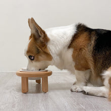 画像をギャラリービューアに読み込む, もぐもぐスタンド フードボウル 陶器 《小型犬用》 《猫用》 ご飯台 食事台｜TOSMU（トスム）｜TOSMU（トスム）
