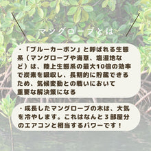 画像をギャラリービューアに読み込む, Happi Earthオーガニックソープナッツ洗濯用洗剤（ボトル付き）｜Happi Earth（ハッピーアース）
