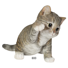 画像をギャラリービューアに読み込む, 猫パンチサバトラ白猫｜WooBia（ウービア）
