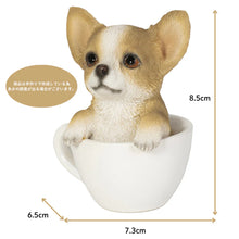 画像をギャラリービューアに読み込む, チワワのティーカップ（小）｜WooBia（ウービア）
