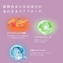 画像をギャラリービューアに読み込む, エセリアル ヴェール シャンプー｜AFFLE（アフレ）
