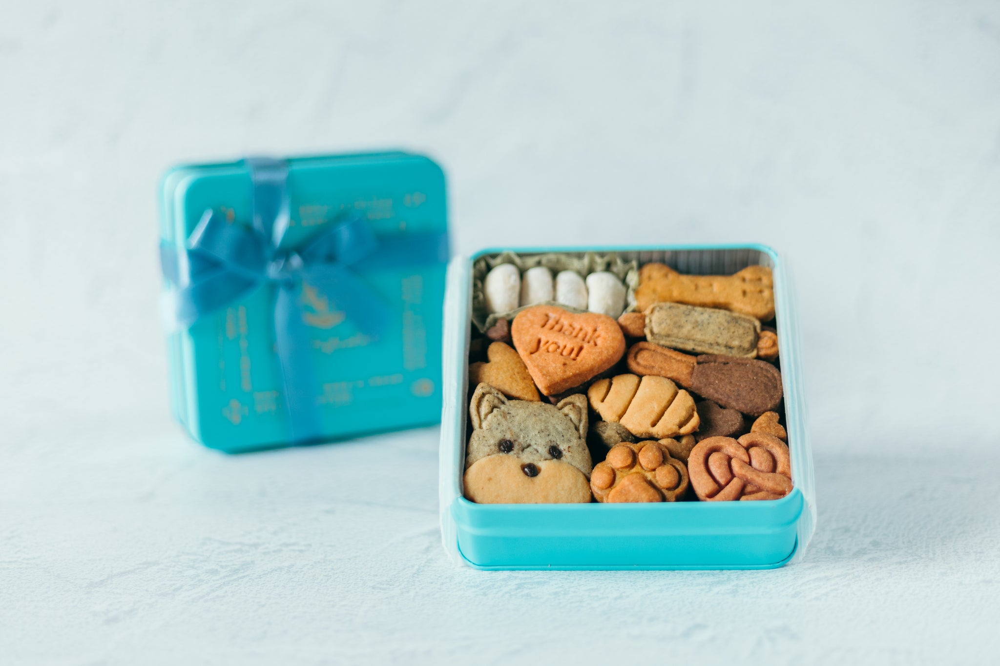 クッキーじゅんページ かぼちゃ屋さんのSpecial Cookie Can – Zucca