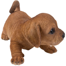 画像をギャラリービューアに読み込む, かまえるダックスフンドの子犬｜WooBia（ウービア）
