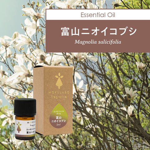 MOKULABO fragrance 日本の木のアロマ　エッセンシャルオイル　富山ニオイコブシ｜MOKULABO fragrance（モクラボフレグランス）