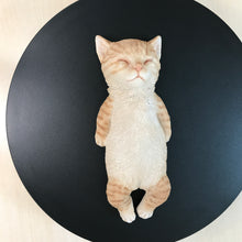 画像をギャラリービューアに読み込む, へそ天　茶トラ猫｜WooBia（ウービア）
