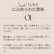 画像をギャラリービューアに読み込む, K10 Classic Love (حب) Arabic Necklace｜KAYO &amp; Coco Jewelry（カヨアンドココジュエリー）
