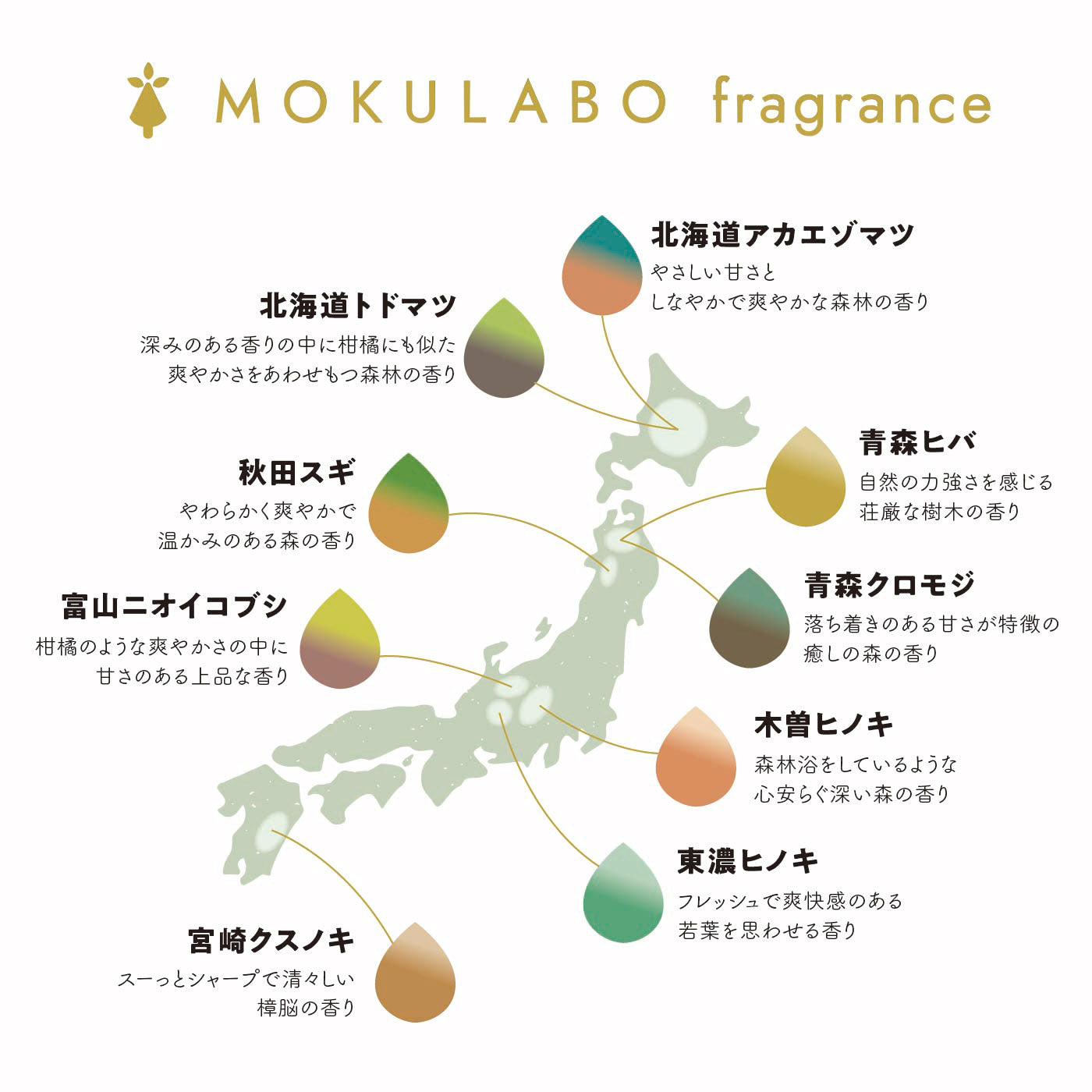日本の木のアロマ おだやかヒノキセット｜MOKULABO fragrance（モク