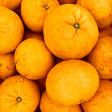 画像をギャラリービューアに読み込む, 1-5-8-64-82-84[アマナツ]｜クラフトジン｜AMRTA（アムリタ）
