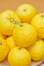 画像をギャラリービューアに読み込む, グリーンレモン（璃の香）と柚子のマーマレード｜クラフトジャム　Chez.BonBon（クラフトジャム　シェボンボン）
