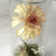 画像をギャラリービューアに読み込む, ラナンキュラスのボトルフラワー｜Infini（アンフィニ）
