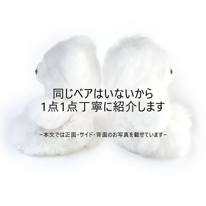 Sit】 アルパカベア テディベア ぬいぐるみ｜Alpaca Bear's（アルパカ