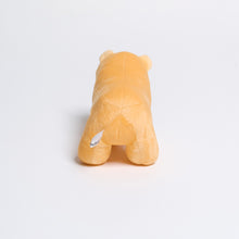 画像をギャラリービューアに読み込む, くまちゅーぬいぐるみ｜KUMAKAWA MARKET/Golden Bear（クマカワマーケットゴールデンベア）
