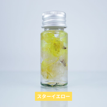 画像をギャラリービューアに読み込む, Lumi-Harb ミニハーバリウムキット(7色)｜AND SOUND（アンドサウンド）
