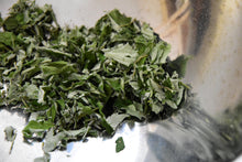 画像をギャラリービューアに読み込む, 免疫｜箱根山麓ハーブTreize13（ハコネサンロクハーブトレーズ）
