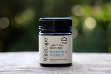 画像をギャラリービューアに読み込む, マヌカハニーWild Cape UMF20+ 250g｜FARADAY　KAMAKURA（ファラディ　カマクラ）
