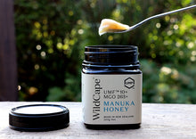 画像をギャラリービューアに読み込む, マヌカハニーWild Cape UMF20+ 250g｜FARADAY　KAMAKURA（ファラディ　カマクラ）

