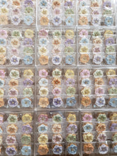 画像をギャラリービューアに読み込む, 天然色素のフラワーアイシングクッキー❀クリアーケースMサイズ｜HANASAKUKI（ハナサクキ）
