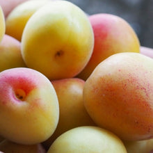 画像をギャラリービューアに読み込む, 柚子と梅のマーマレード｜クラフトジャム　Chez.BonBon（クラフトジャム　シェボンボン）
