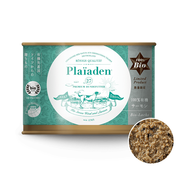 Plaiaden – CHOOSEBASE SHIBUYA