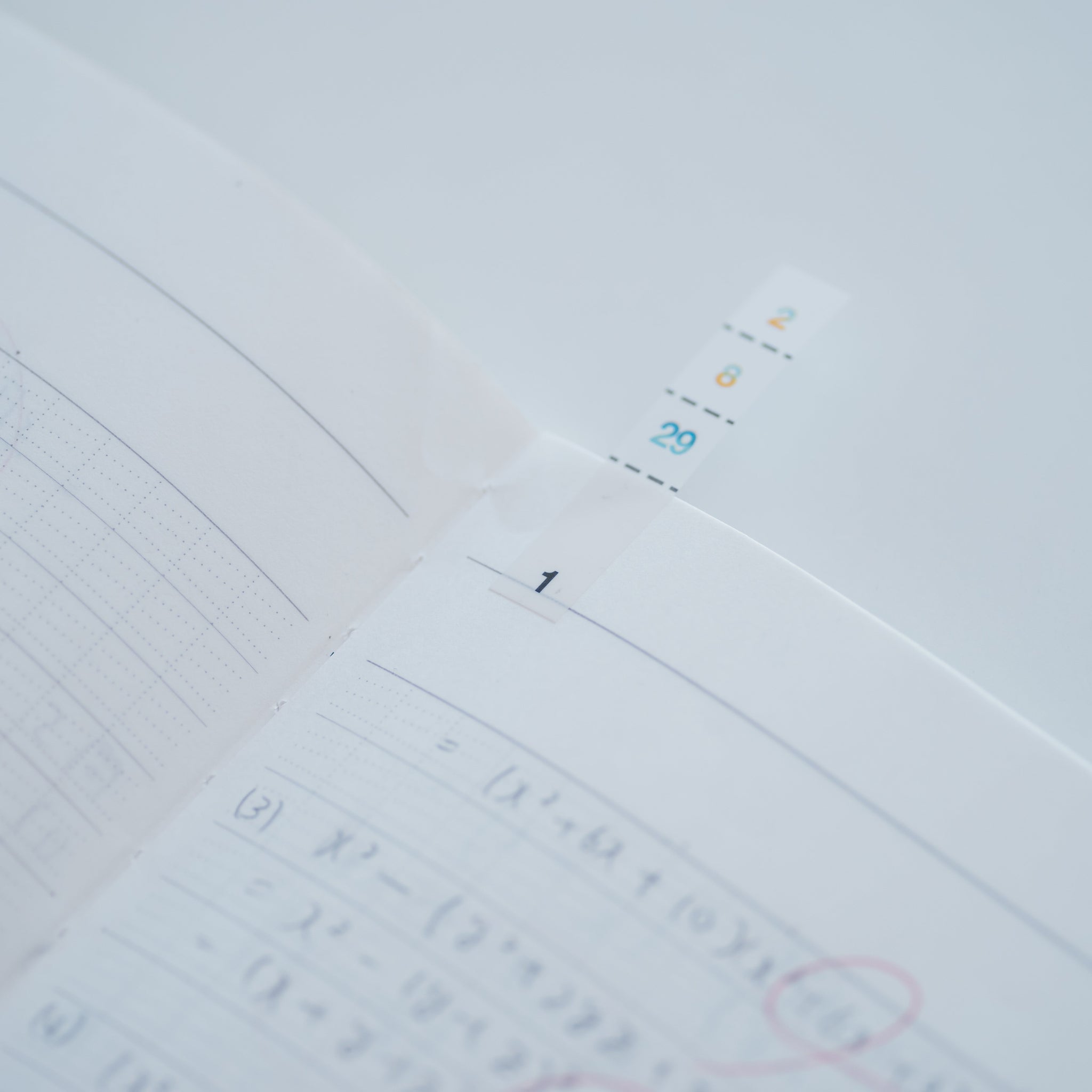 PETふせん2種（2個）セット｜エビングハウスフセン – CHOOSEBASE SHIBUYA