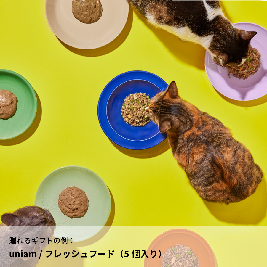 圧倒的ねこ派。｜dōzo（ドーゾ） – CHOOSEBASE SHIBUYA