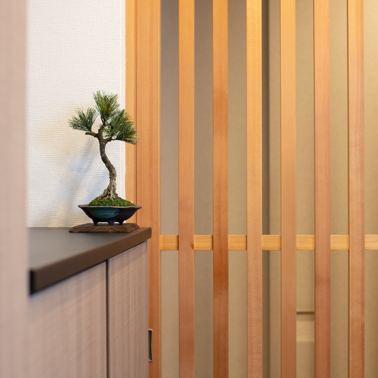 盆栽　ひな壇 鑑賞棚 盆栽が引き立つシャンパンゴールド BONSAI Osaka, Satsuki Kokaen Bonsai Nursery - YouTube