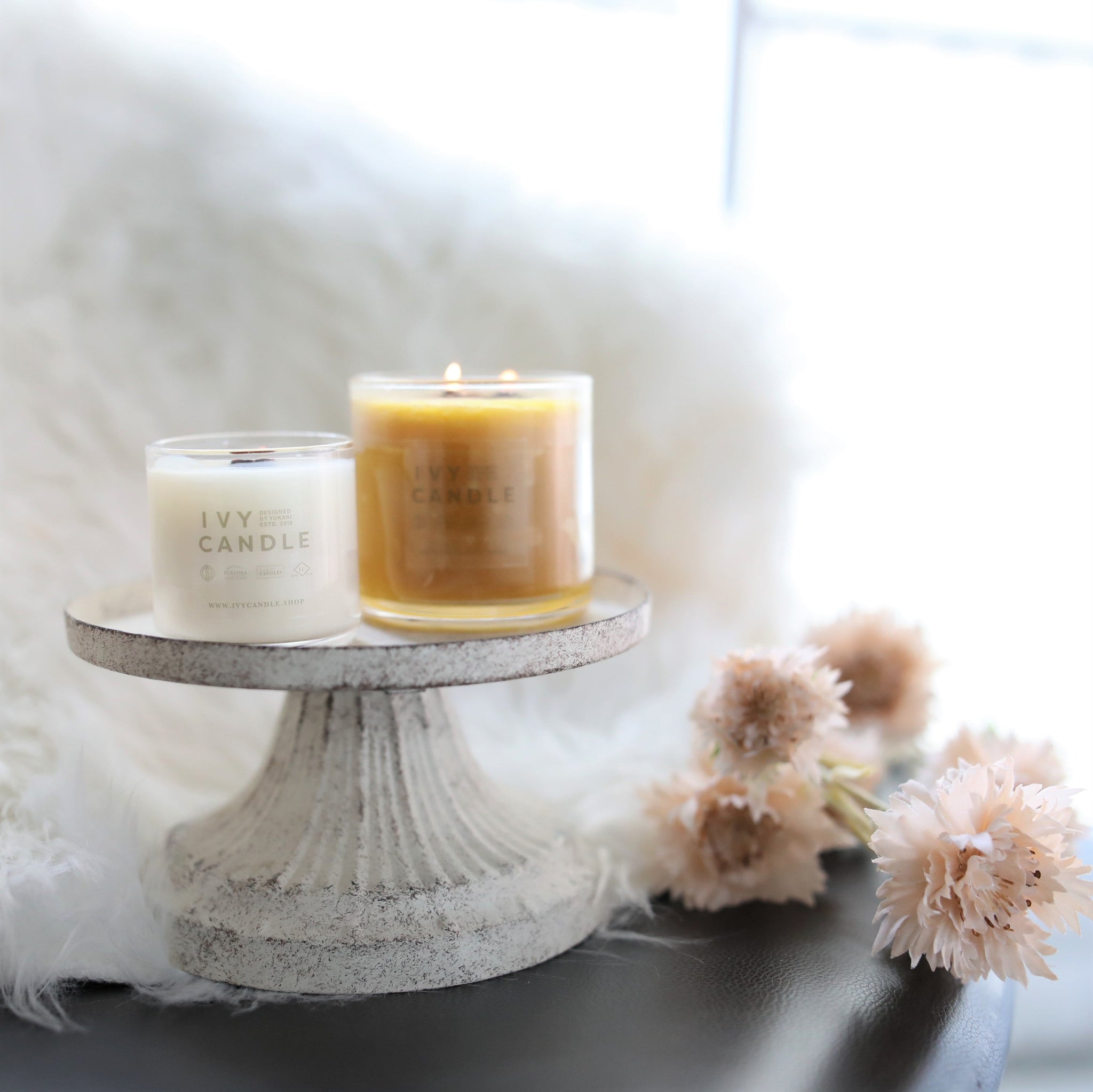 ivy candle – CHOOSEBASE SHIBUYA