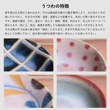 画像をギャラリービューアに読み込む, ブラッシュカラー 六種小皿揃｜AWASAKA（アワサカ）
