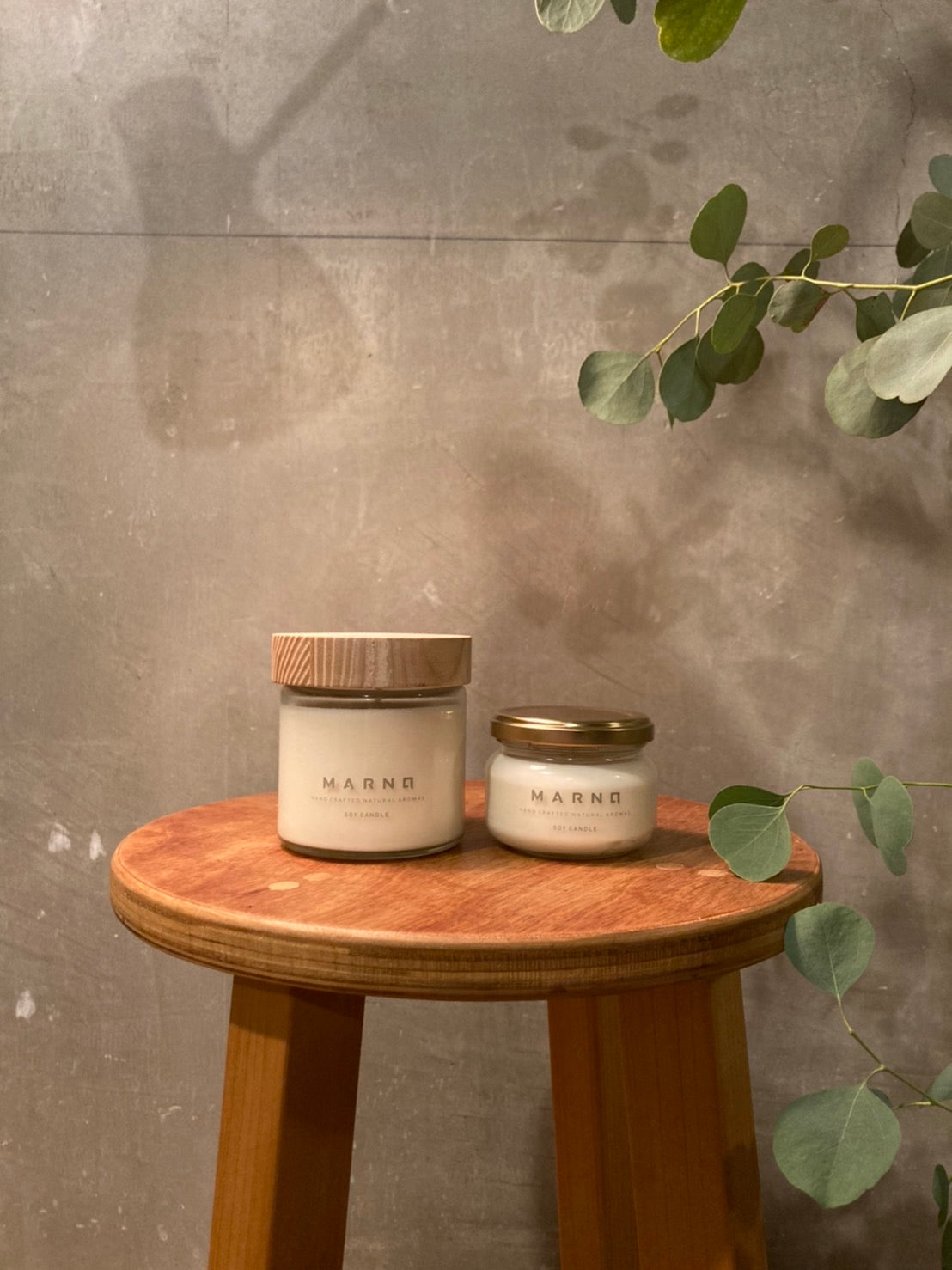 運気爆上げ！家にいながらマイナスイオン「森の調べ」 マイナスイオンたっぷりの森林の中にいるような気分 DEEP IN THE