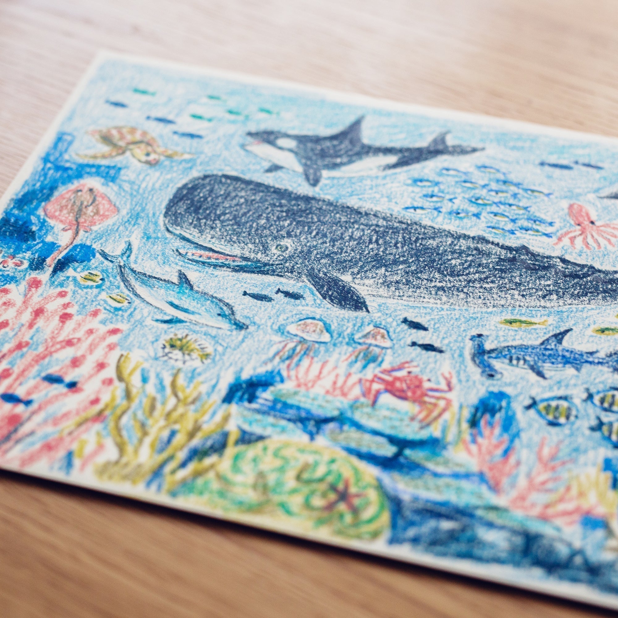 海のクレヨン｜スカパーJSAT – CHOOSEBASE SHIBUYA